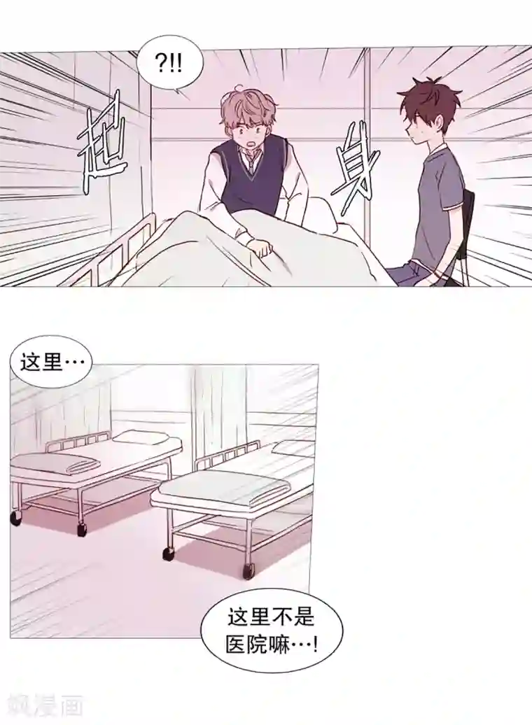 动物灵魂管理局第43话 喜欢你