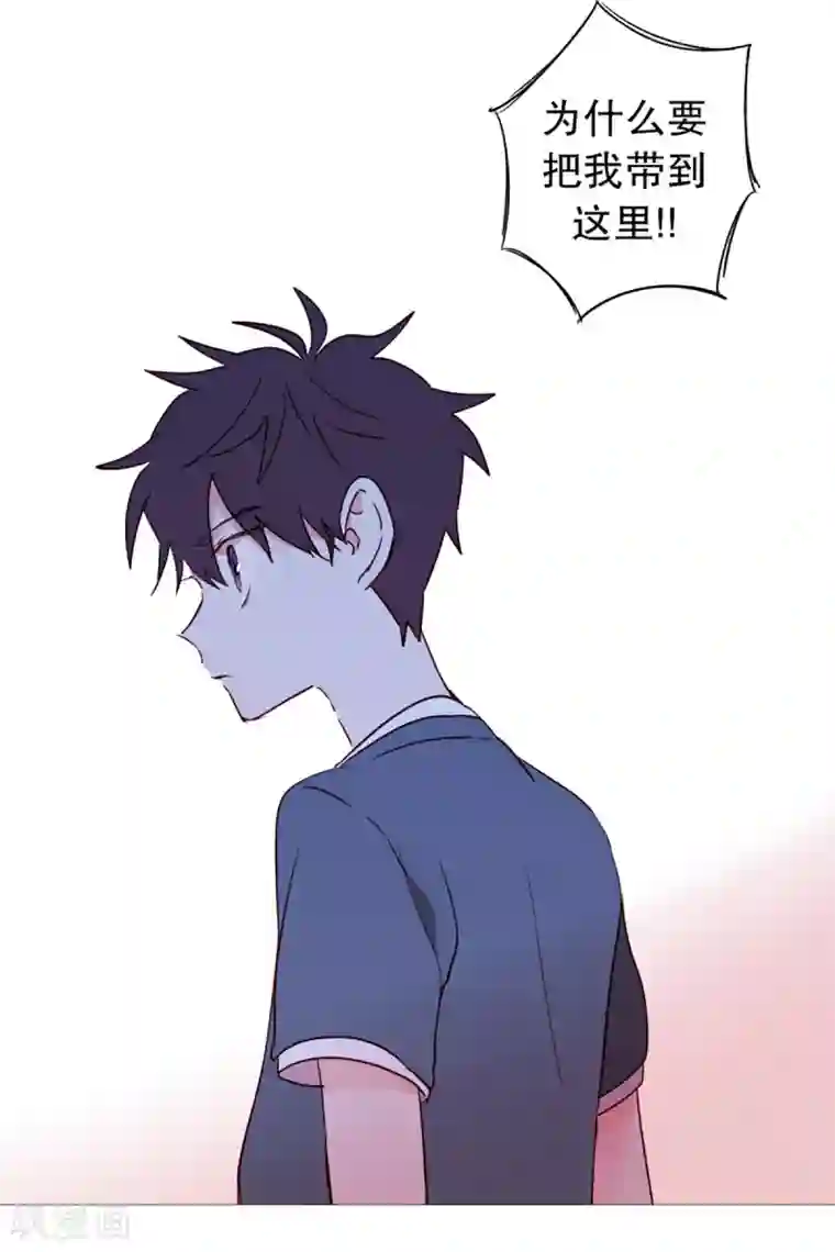 动物灵魂管理局第43话 喜欢你