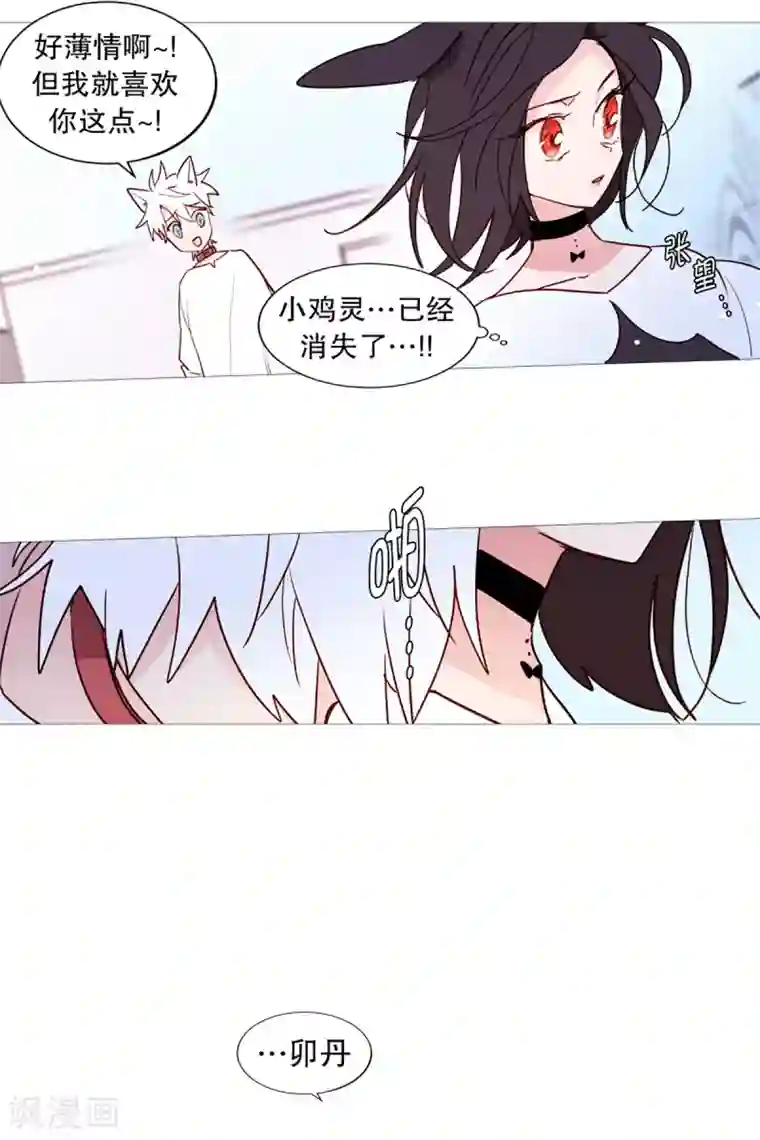 动物灵魂管理局第43话 喜欢你