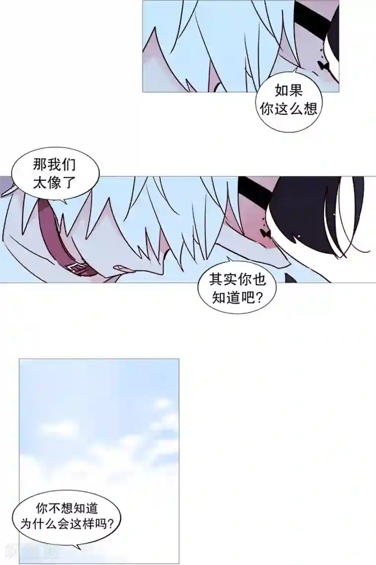 动物灵魂管理局第43话 喜欢你