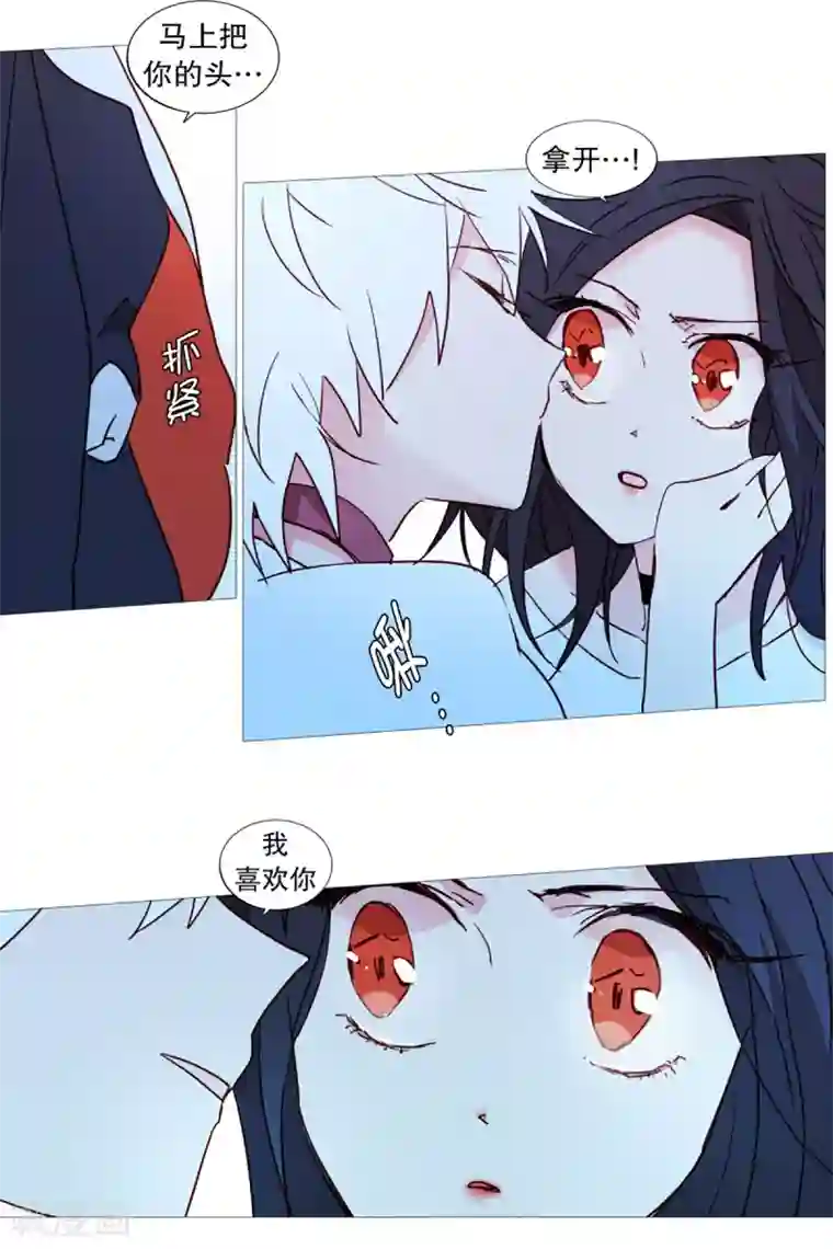 动物灵魂管理局第43话 喜欢你