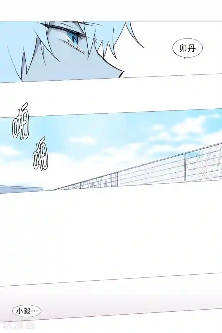 动物灵魂管理局第43话 喜欢你