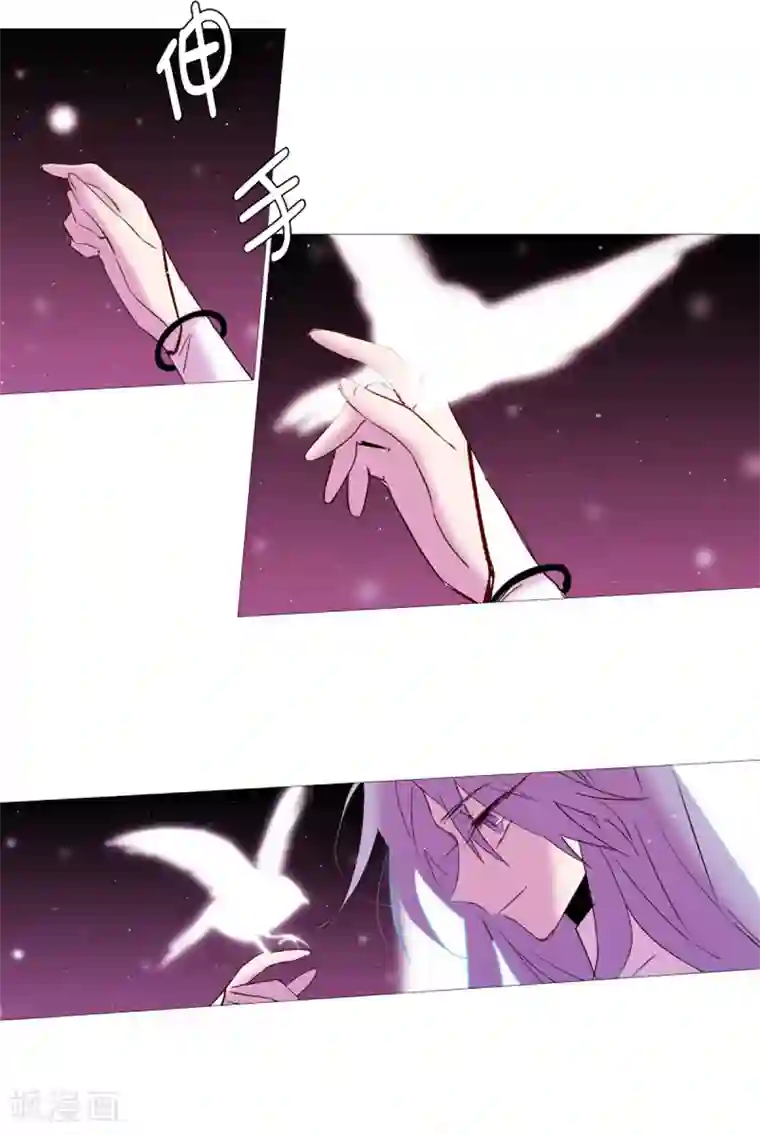 动物灵魂管理局第44话 紫灵与阎魔