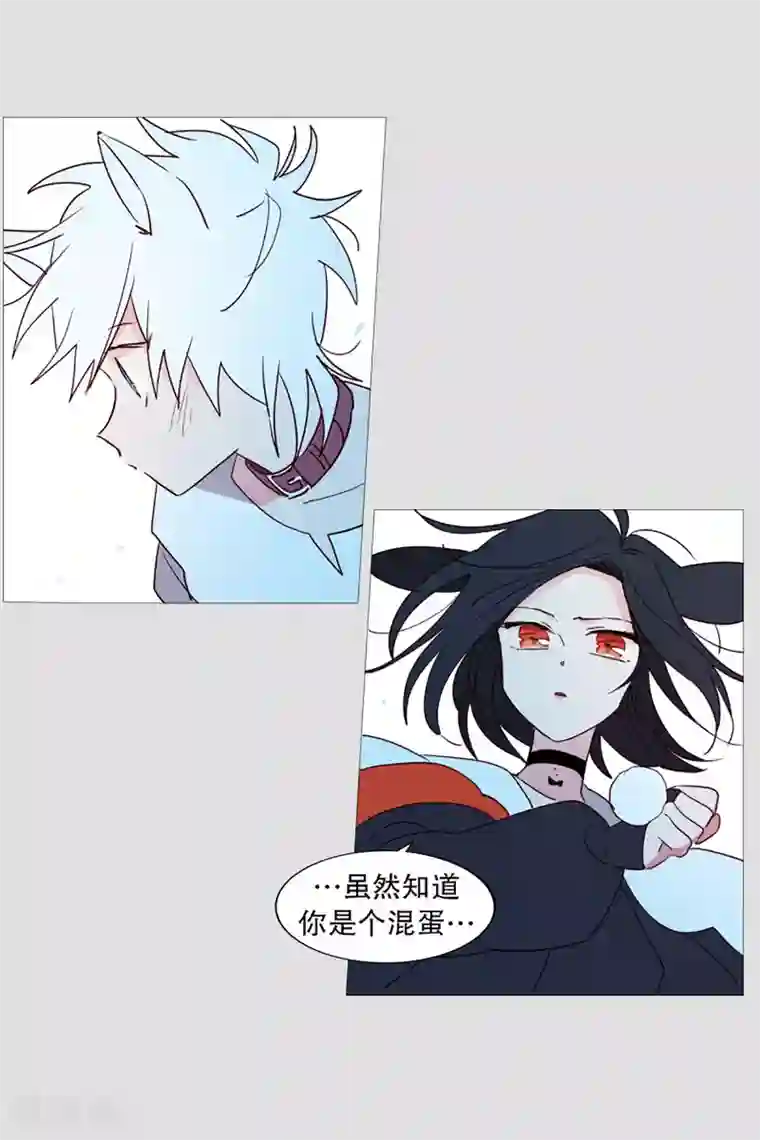 动物灵魂管理局第46话 没有怨恨