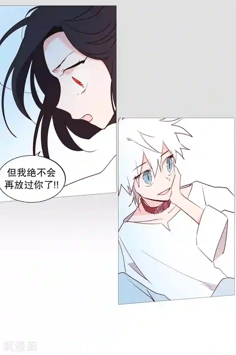 动物灵魂管理局第46话 没有怨恨