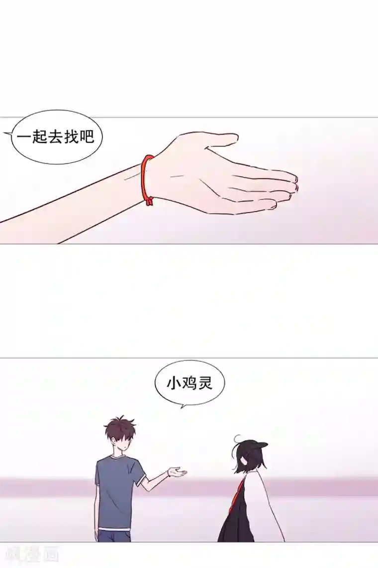 动物灵魂管理局第46话 没有怨恨