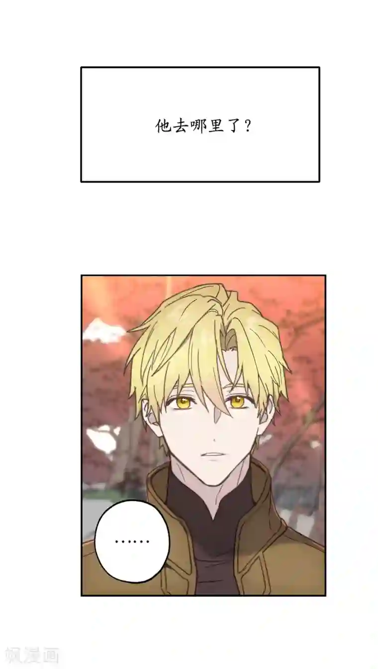 你的告白已签收第64话 习惯走在你身后