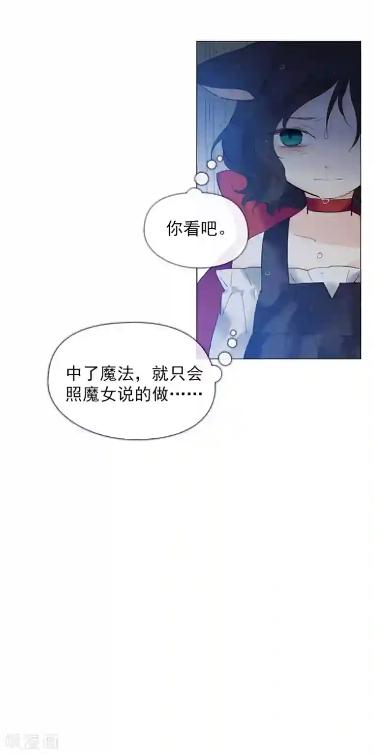 魔女的小跟班第13话 莉莉眼中的爱情