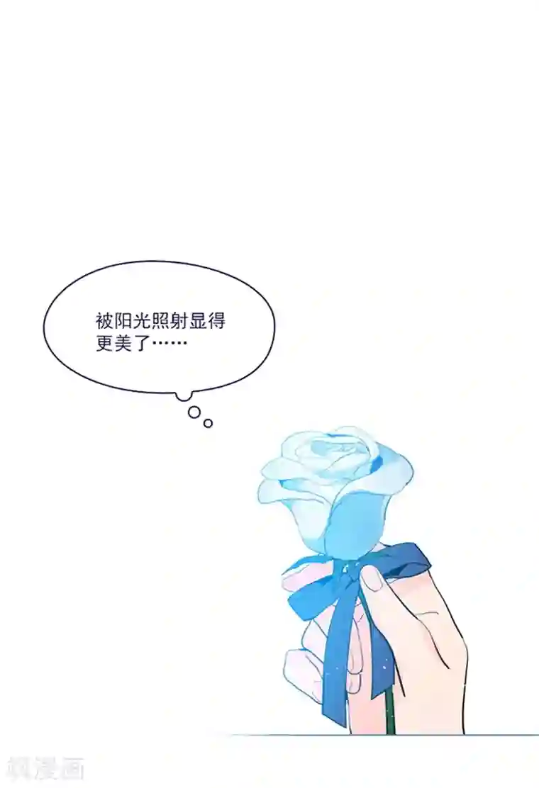 魔女的小跟班第17话 信与花