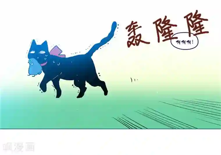 魔女的小跟班第17话 信与花