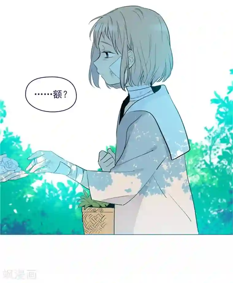 魔女的小跟班第17话 信与花