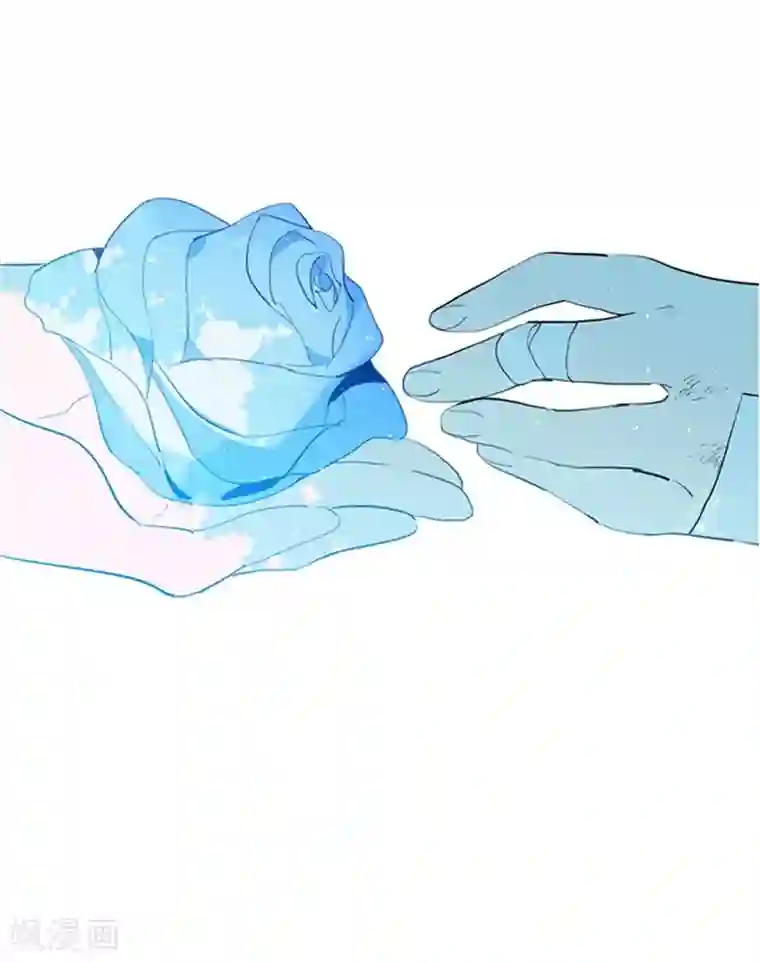 魔女的小跟班第17话 信与花