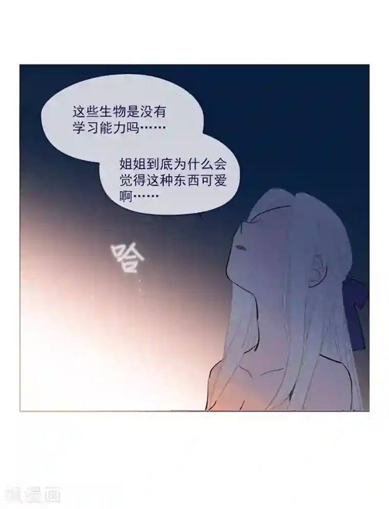 魔女的小跟班第20话 结婚