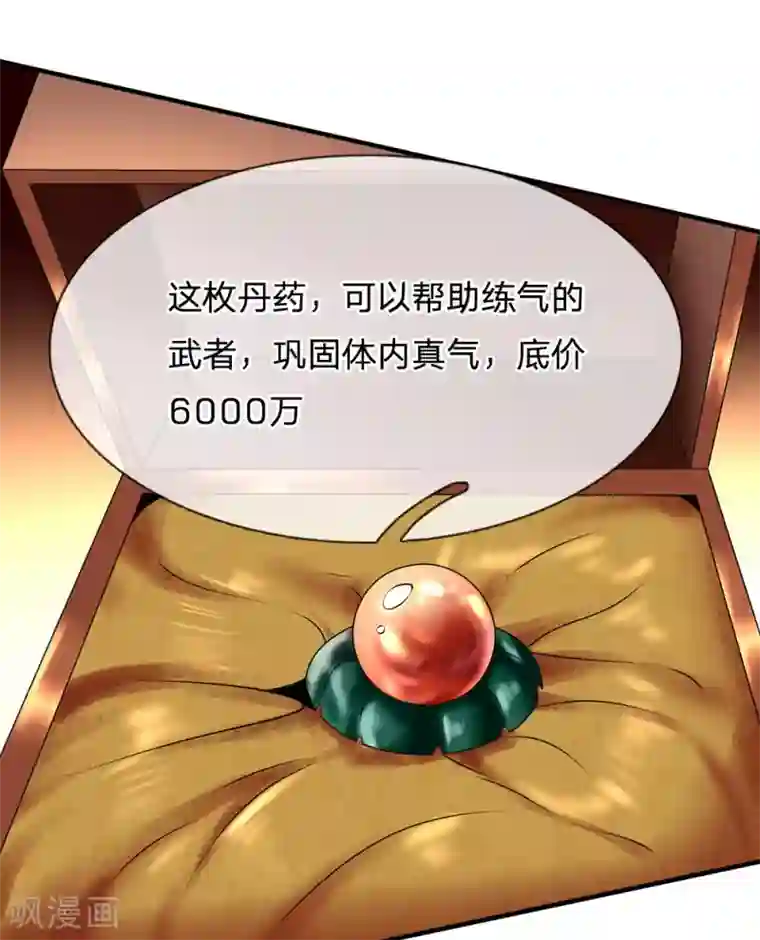 都市之逆天仙尊第108话 竞拍开始