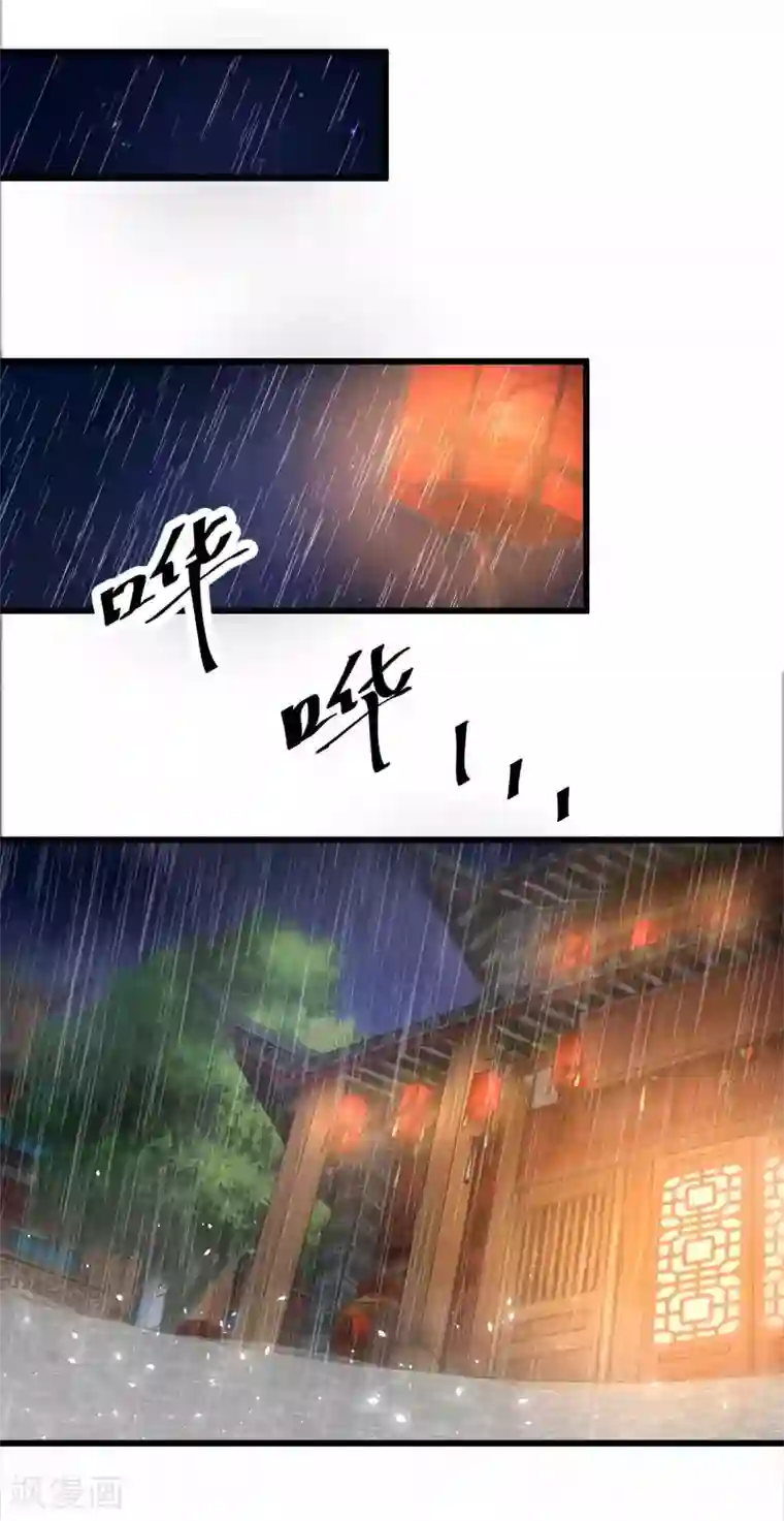 农女殊色第211话 雨夜访客