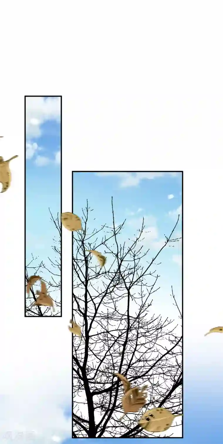 步步毒谋:血凰归来第63话 拜访江太师