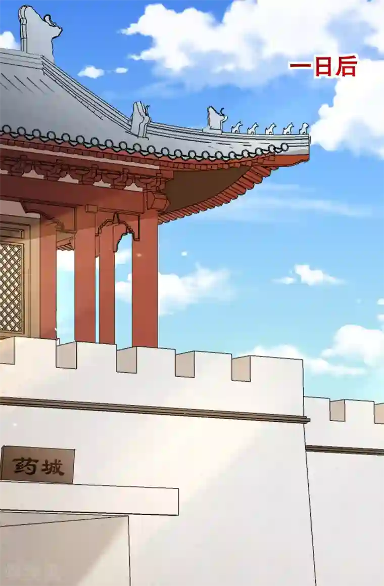 天才小毒妃之芸汐传奇第206话 初探身世之谜