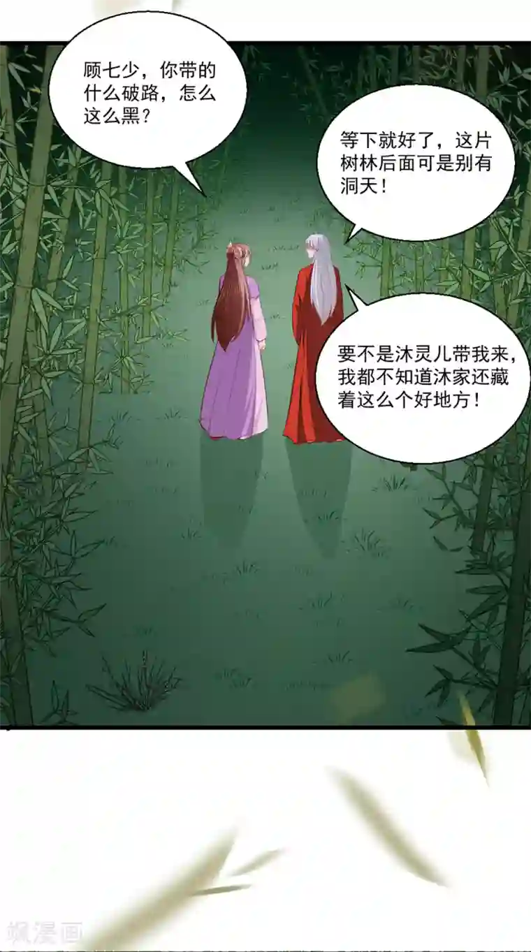 天才小毒妃之芸汐传奇第207话 神秘的哑婆婆