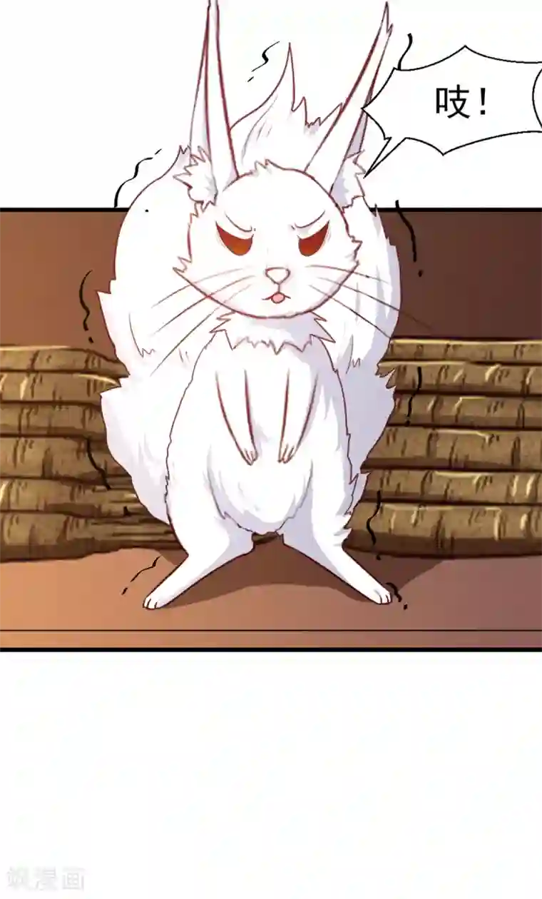 天才小毒妃之芸汐传奇第207话 神秘的哑婆婆