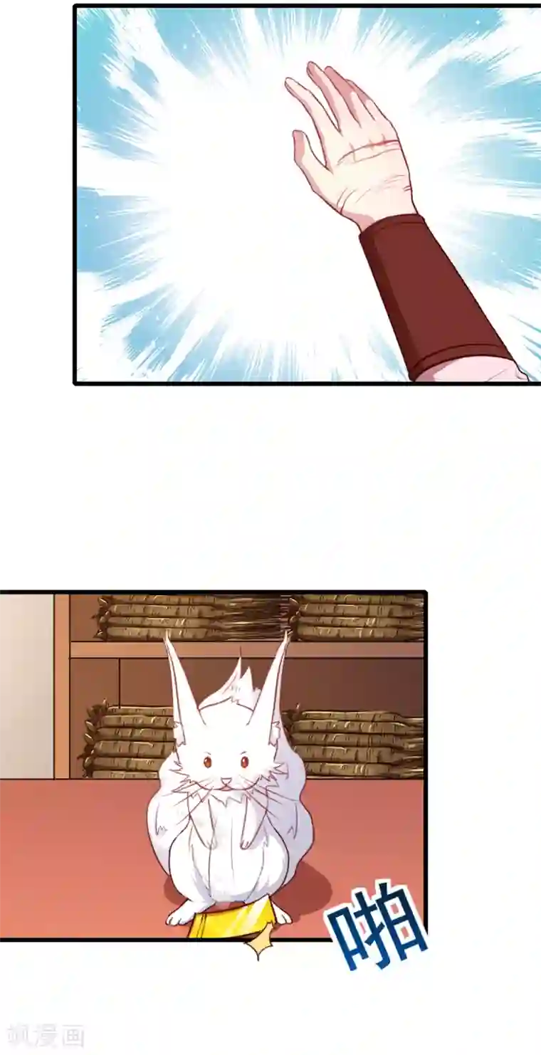 天才小毒妃之芸汐传奇第207话 神秘的哑婆婆