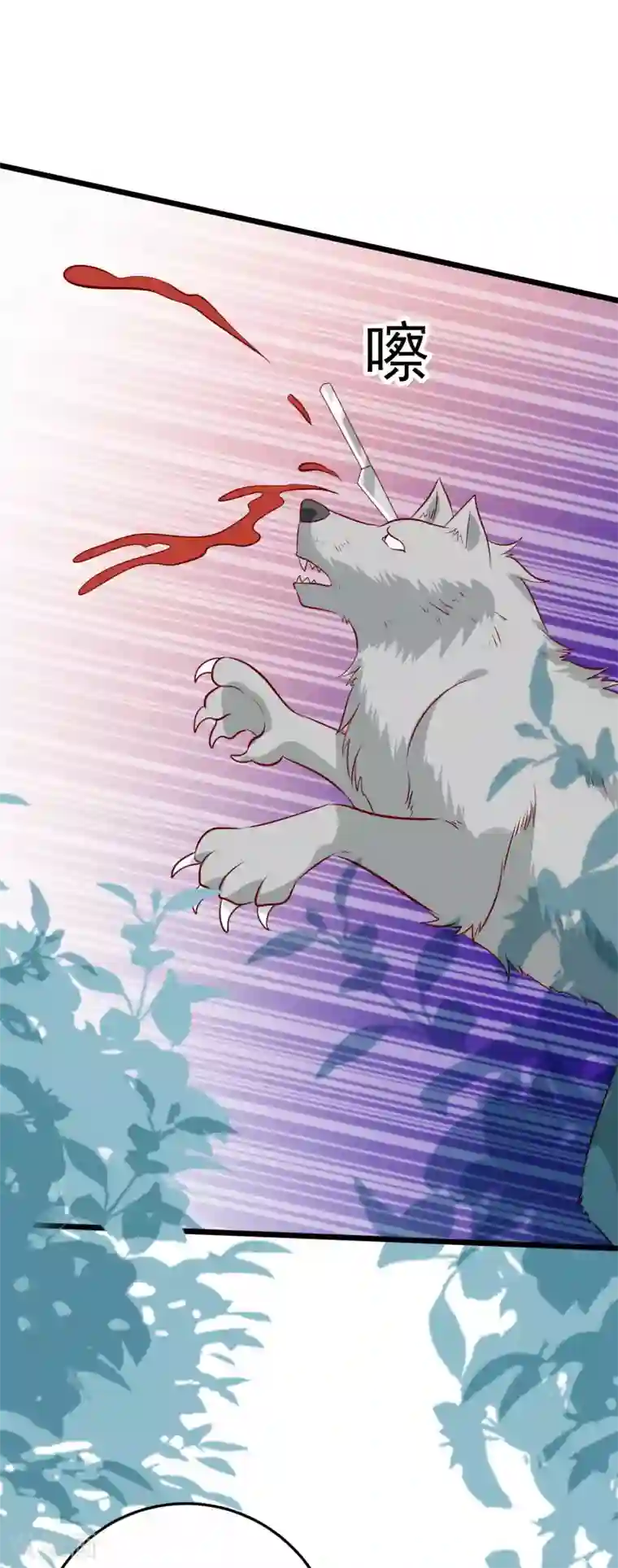 帝凰之神医弃妃第61话 杀狼