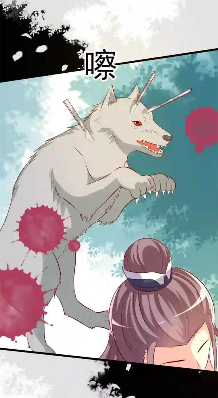 帝凰之神医弃妃第61话 杀狼
