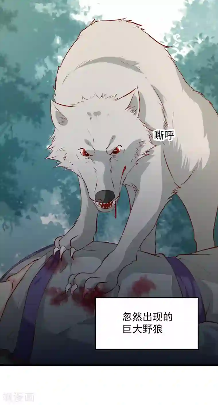 帝凰之神医弃妃第61话 杀狼