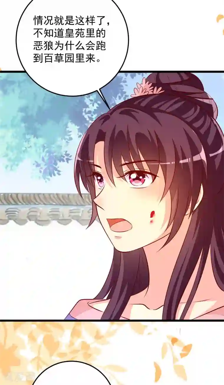 帝凰之神医弃妃第61话 杀狼