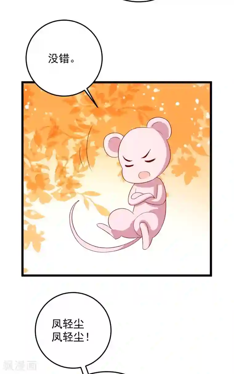 帝凰之神医弃妃第61话 杀狼