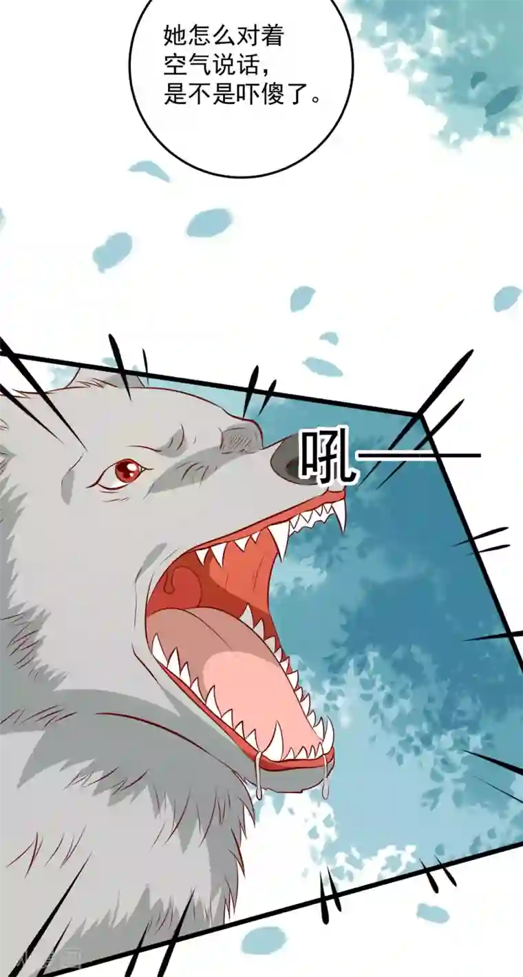 帝凰之神医弃妃第61话 杀狼