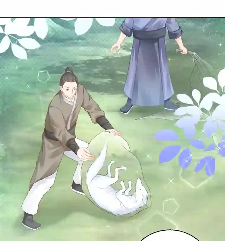 盛宠阴阳妃第75话 七色莲