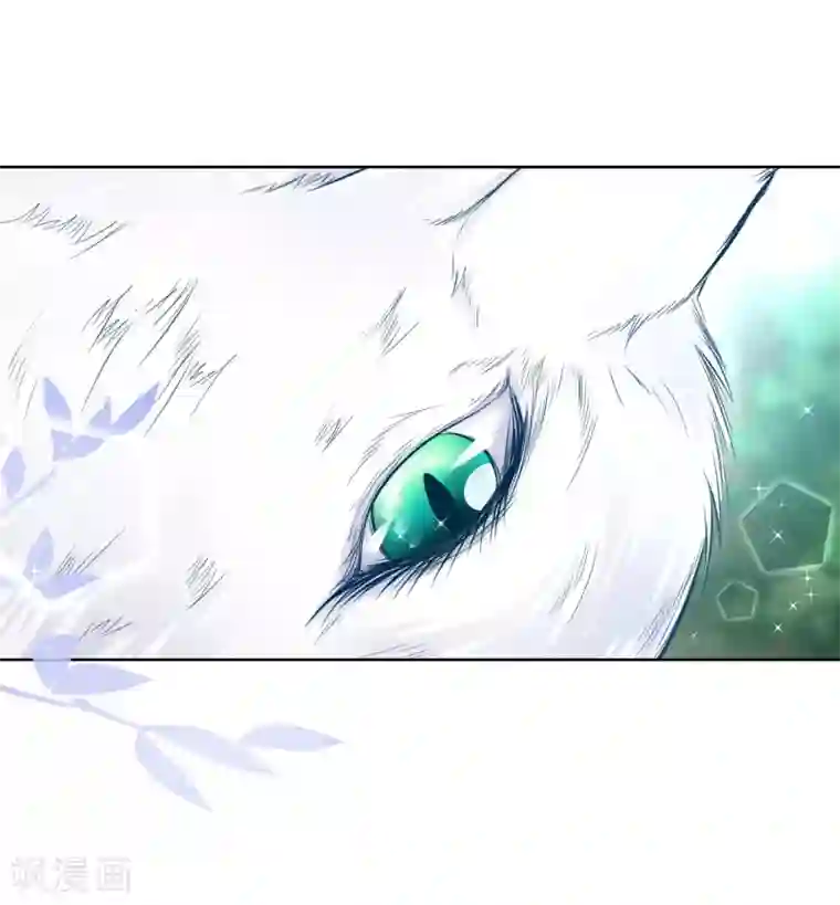 盛宠阴阳妃第75话 七色莲