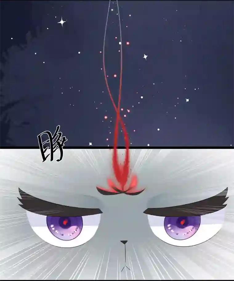 狐妃,别惹我番外3 大灰兔的秘密