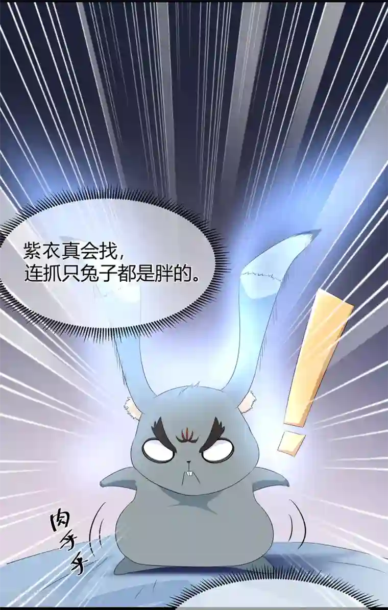 狐妃,别惹我番外3 大灰兔的秘密