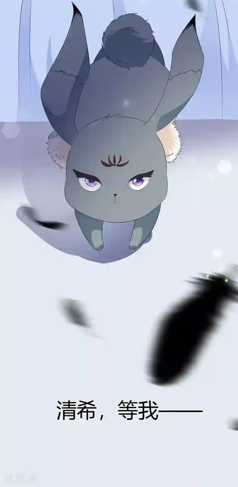 狐妃,别惹我番外3 大灰兔的秘密