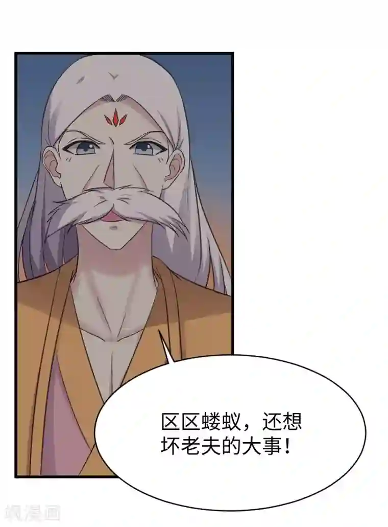 宠狐成妃第318话 祭祀开始