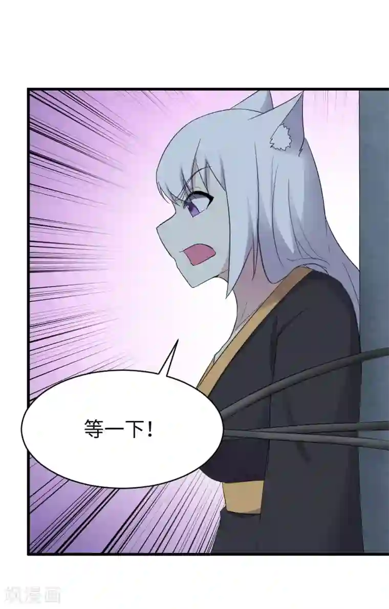 宠狐成妃第318话 祭祀开始