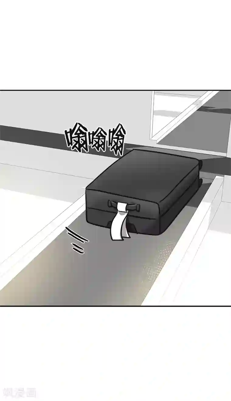 心有独钟第388话 猪猪一飞冲天