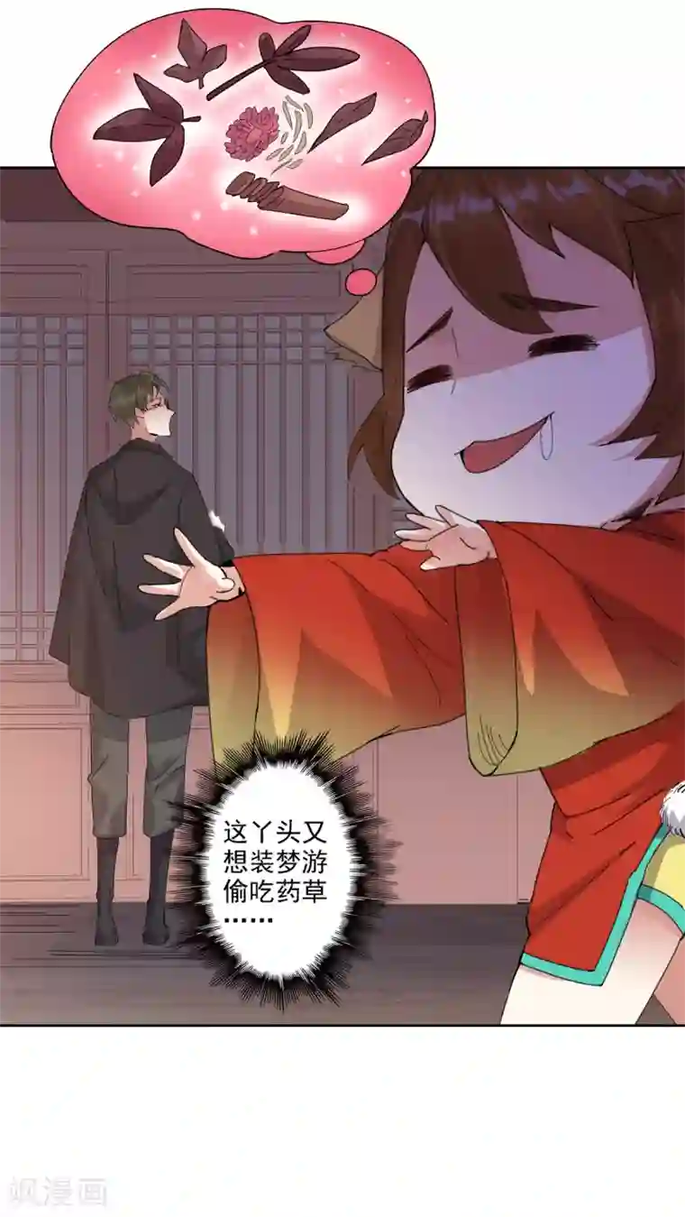 异世界中药铺第91话 搜查要犯