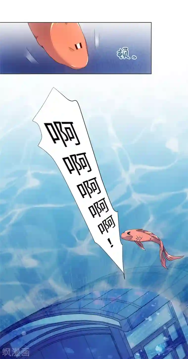 今天也没变成人第76话 在我怀里别动