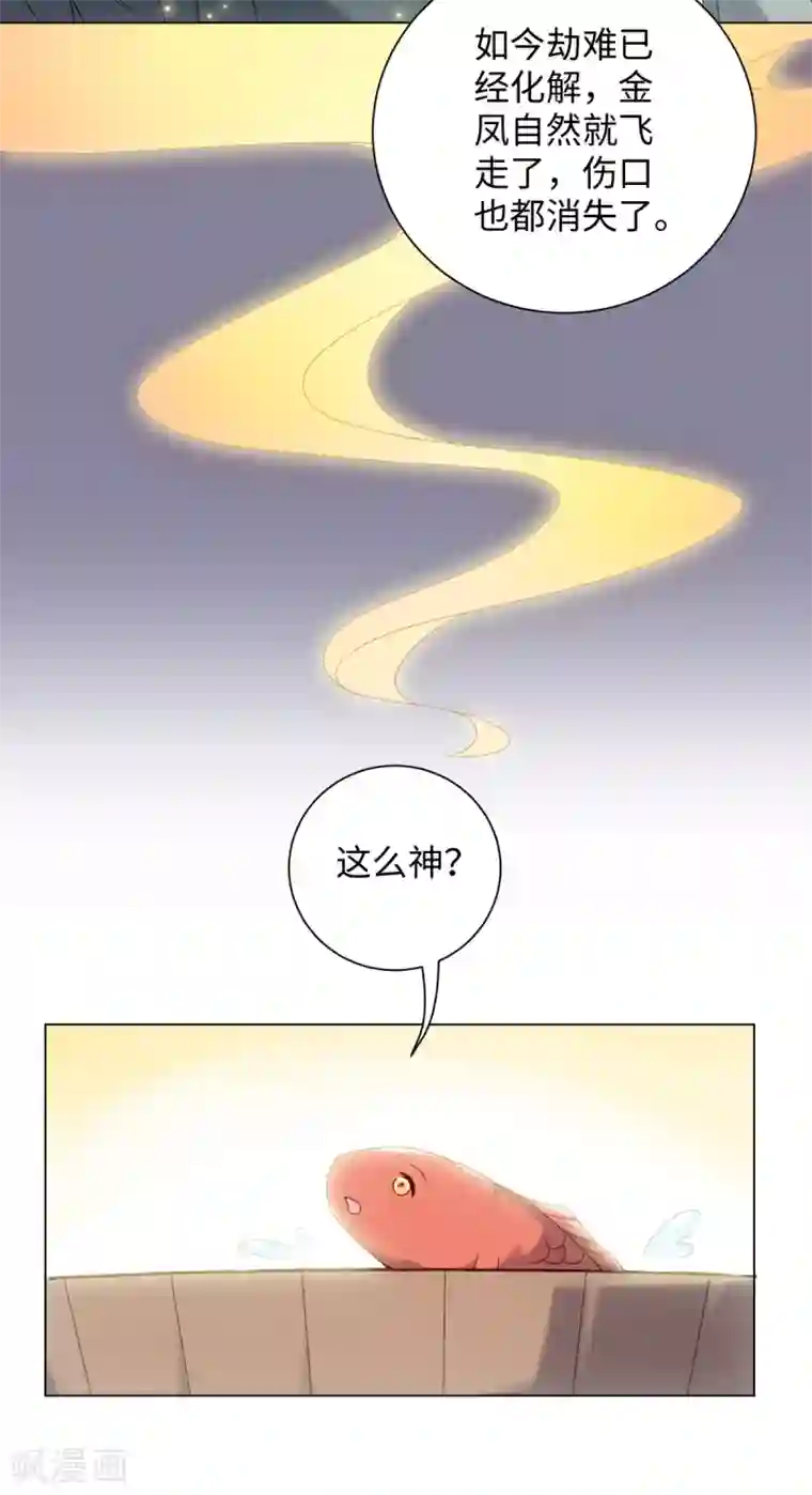 今天也没变成人第76话 在我怀里别动