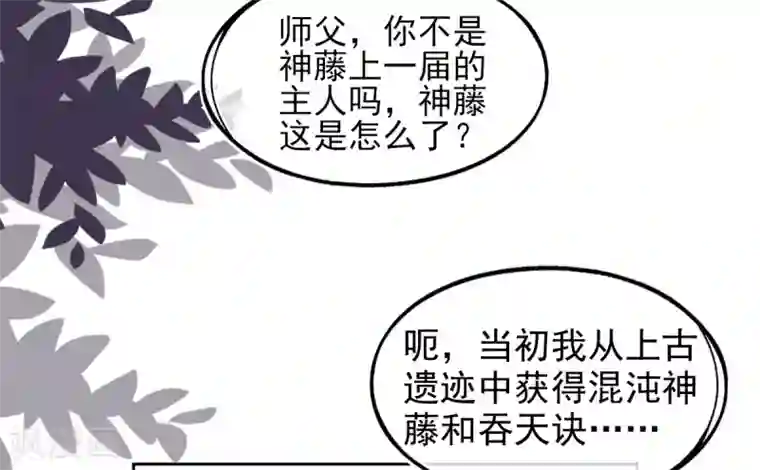 本王妃神藤在手第33话 地系妖兽—魔晶地刺