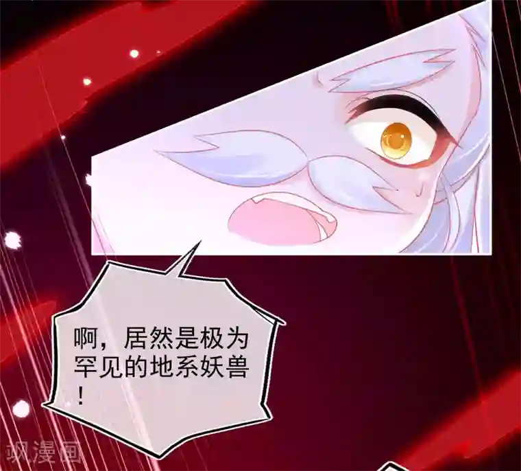 本王妃神藤在手第33话 地系妖兽—魔晶地刺