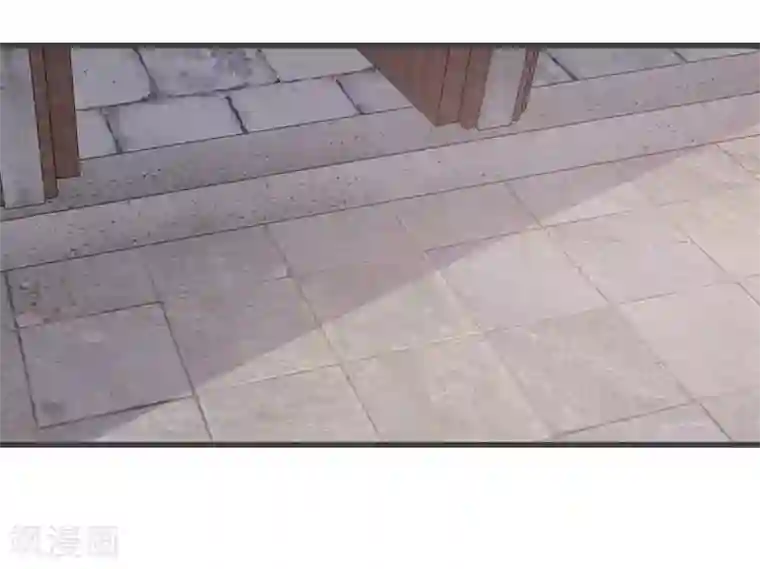 将军夫人的手术刀第15话 监视