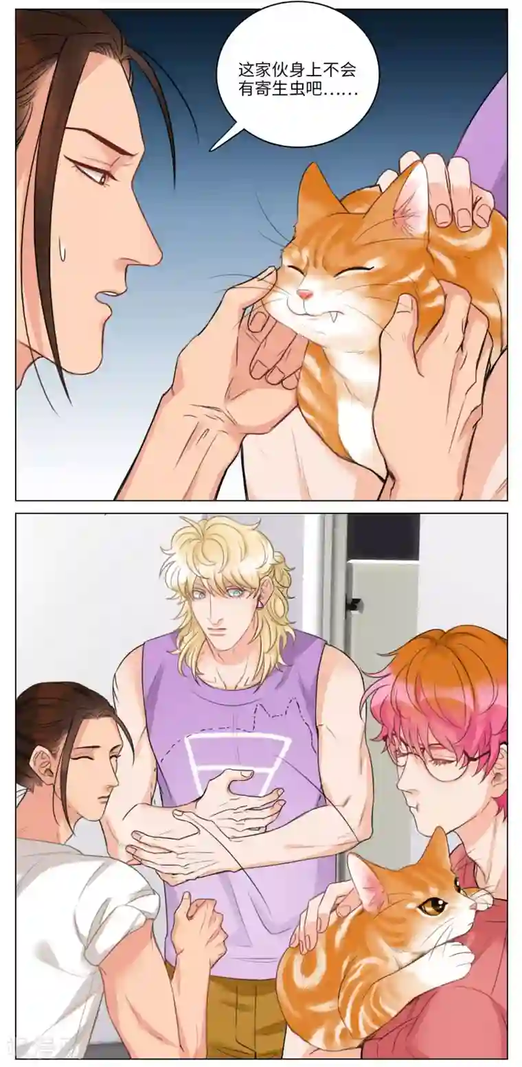 男生宿舍303第53话 猫奴