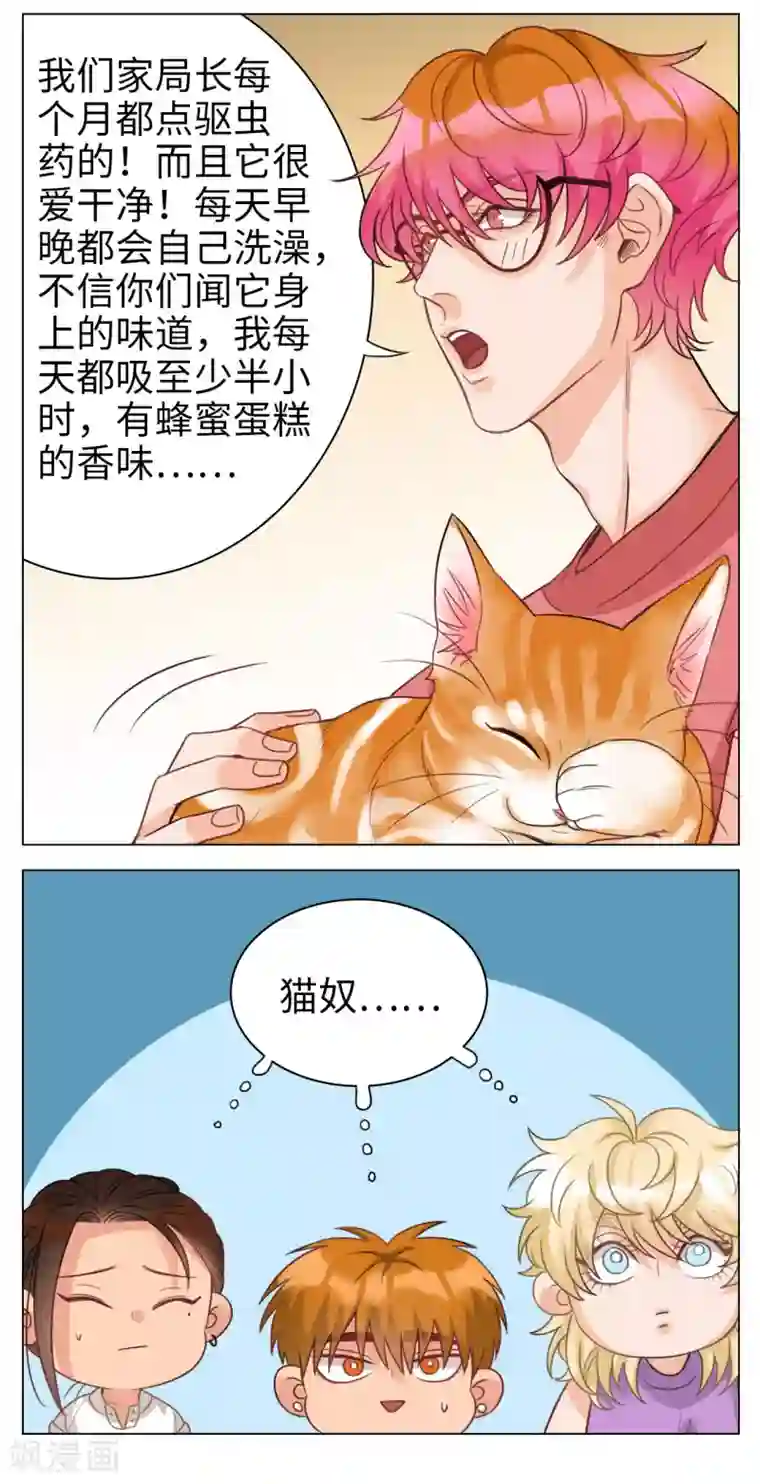 男生宿舍303第53话 猫奴