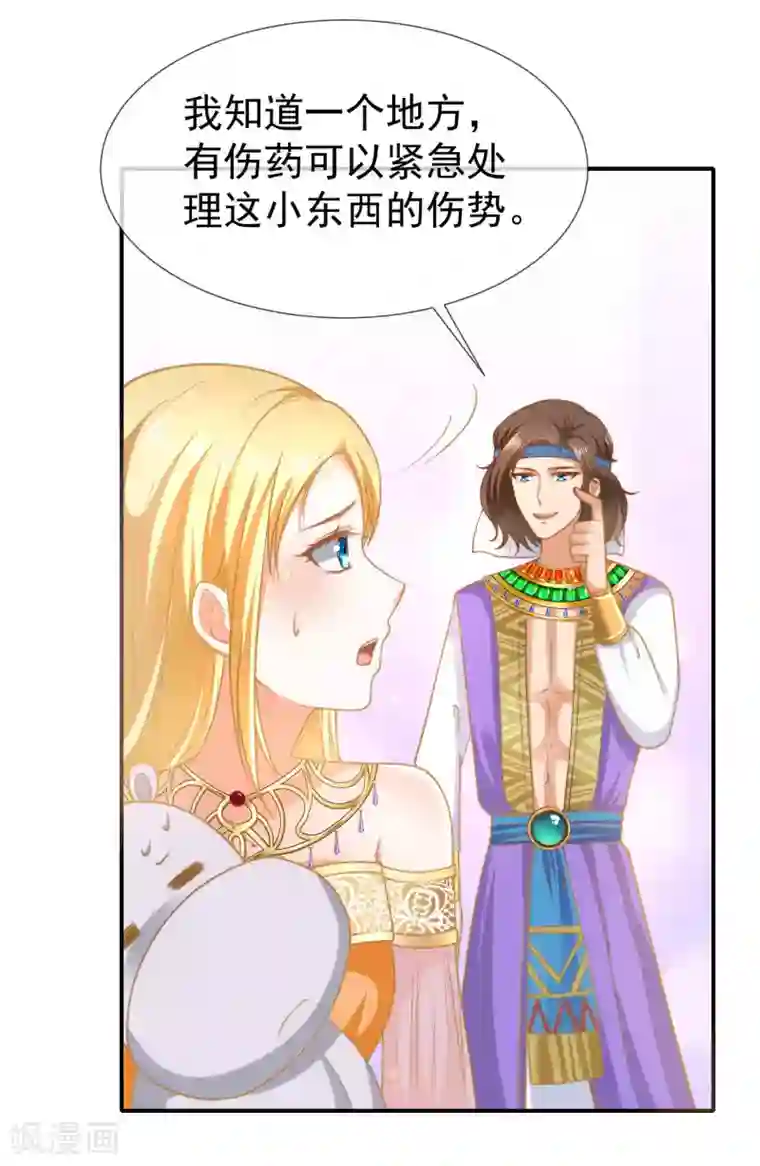 王的第一宠后第31话 保护好我们的小公主！
