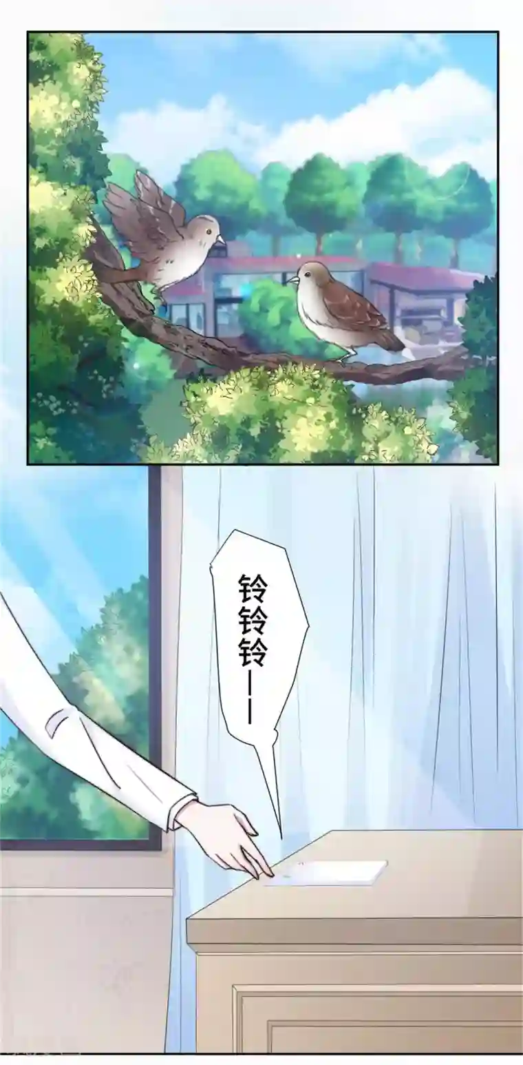 总裁请离我远点第35话 我愿用生命保护你