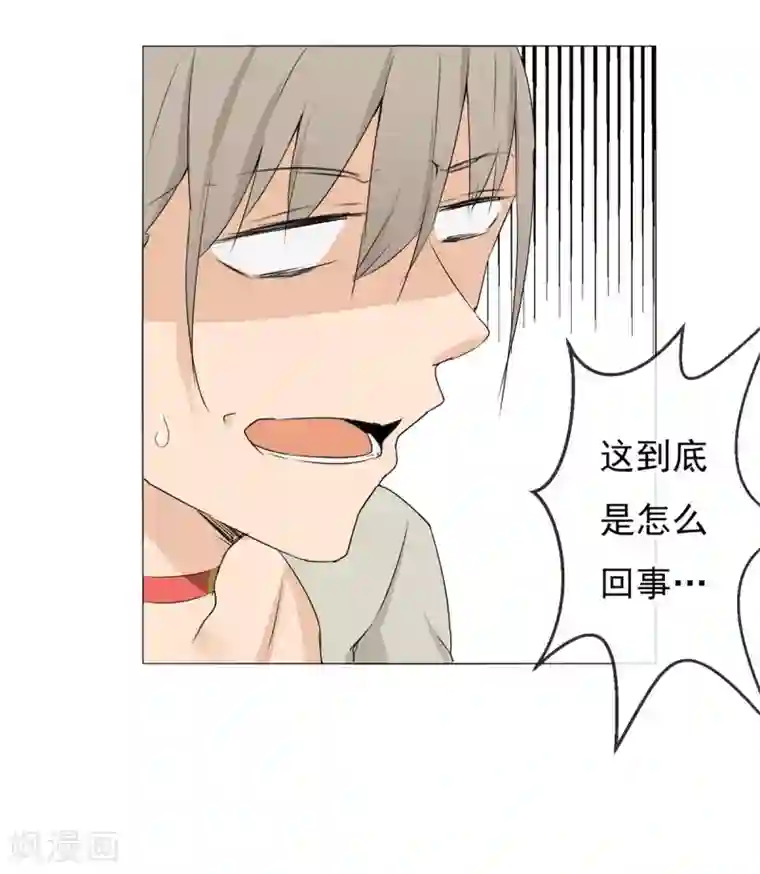 高能剧情100问第25话