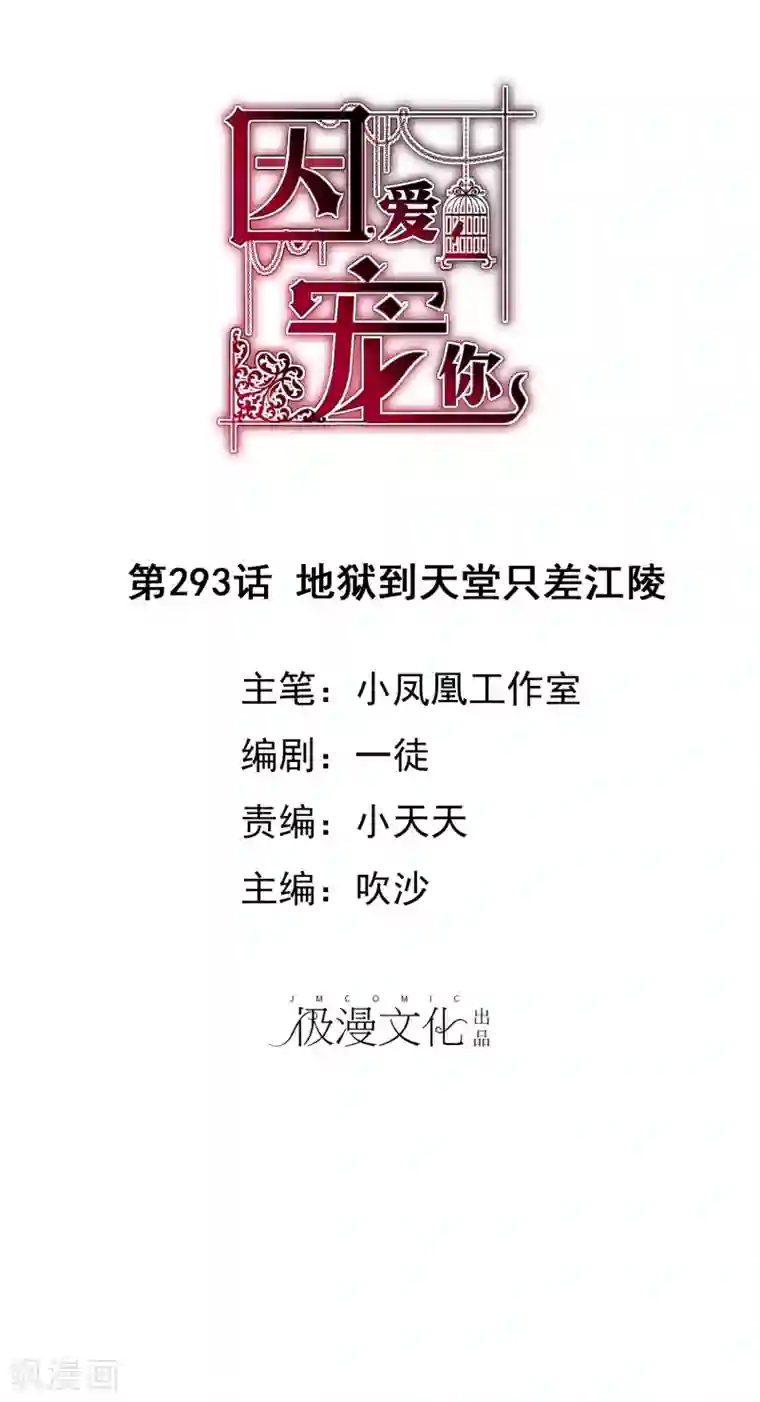 因爱宠你第293话